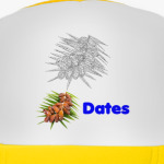 Dates on a twig