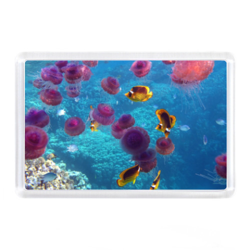 Магнит с принтом Рыбки в море