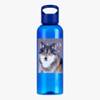 Прозрачная спортивная бутылка