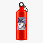 Металлическая бутылка 700 мл UV-DTF