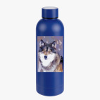 Термобутылка