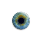 eye