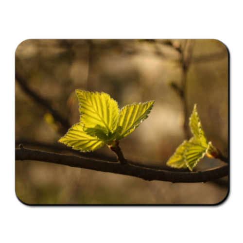 Коврик для мыши с принтом Весенняя береза