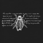 Муха Ван Гога