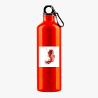 Металлическая бутылка 700 мл UV-DTF