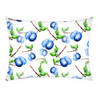 Сливы. Акварель