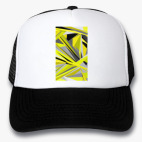 Кепки Trucker