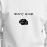 memory:333Gb