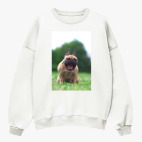 Свитшот оверсайз