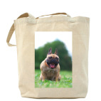 Холщовая сумка