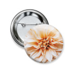 Летние цветы