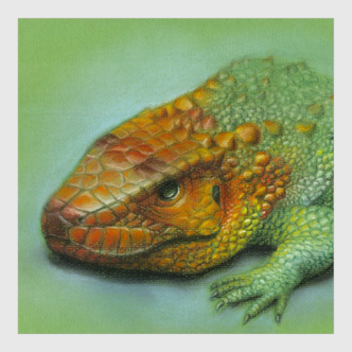 Постер Гвианский дракон