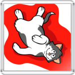 Эти веселые коты