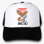Кепки Trucker