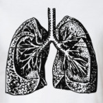  'Anatomy: Lungs'