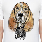 Собака бассет - фотогораф