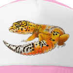 Эуглефарчик