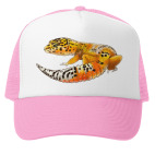 Эуглефарчик