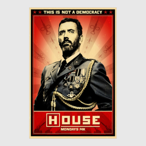 Постер Doctor House