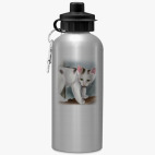 Спортивная бутылка