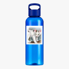 Прозрачная спортивная бутылка