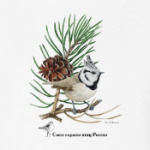 Хохлатая синица или гренадёрка