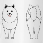 Два Самоеда