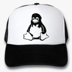 Кепки Trucker