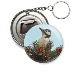 Дятел в шишках