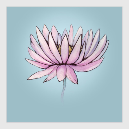 Постер Цветок лотоса