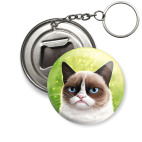 Grumpy Cat