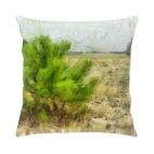 Кинбурнская коса. Молодая сосна