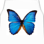 Лазурная бабочка