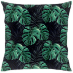 Тропический лес