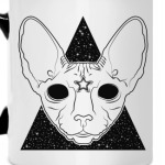 Кот сфинкс познавший Вселенную