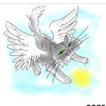 Кошка-ангел