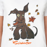 Осенний шнауцер