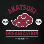 Naruto Akatsuki Organization