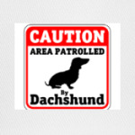 Caution Area Patrolled