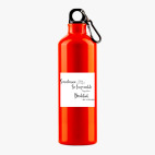 Металлическая бутылка 700 мл UV-DTF