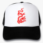 Кепки Trucker