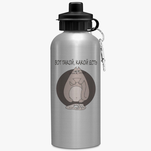 Бутылка с карабином (500 мл) с принтом Прикольный кот