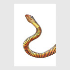 Любителям змей и прочих хладнокровных