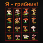 Я-грибник!