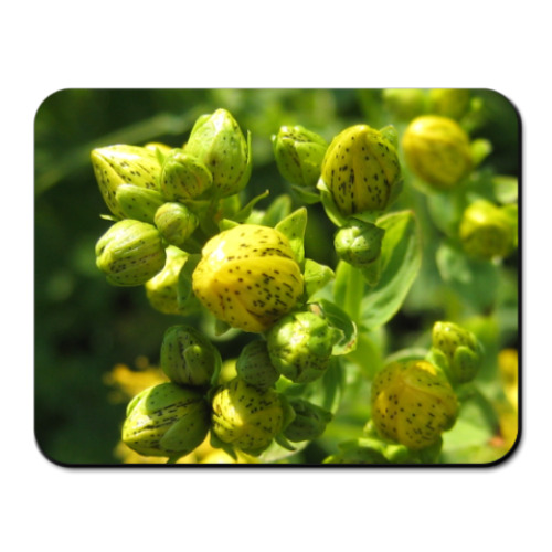 Коврик для мыши с принтом цветы