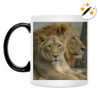 Кружка-хамелеон