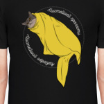 Котики - это прелесть!