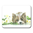 ИЩУ БЛОНДИНКУ