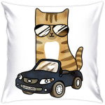 Крутой кот за рулём автомобиля