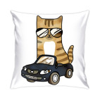 Крутой кот за рулём автомобиля